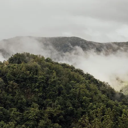 Apartamento Solo Palacio - Rural Boutique & *