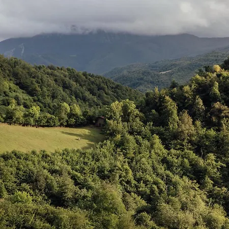 Solo Palacio - Rural Boutique & *