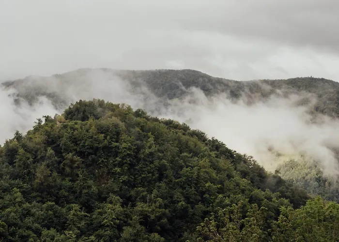 Apartamento Solo Palacio - Rural Boutique & *