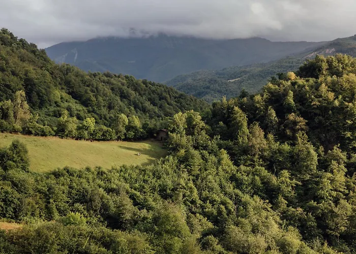 Solo Palacio - Rural Boutique & *